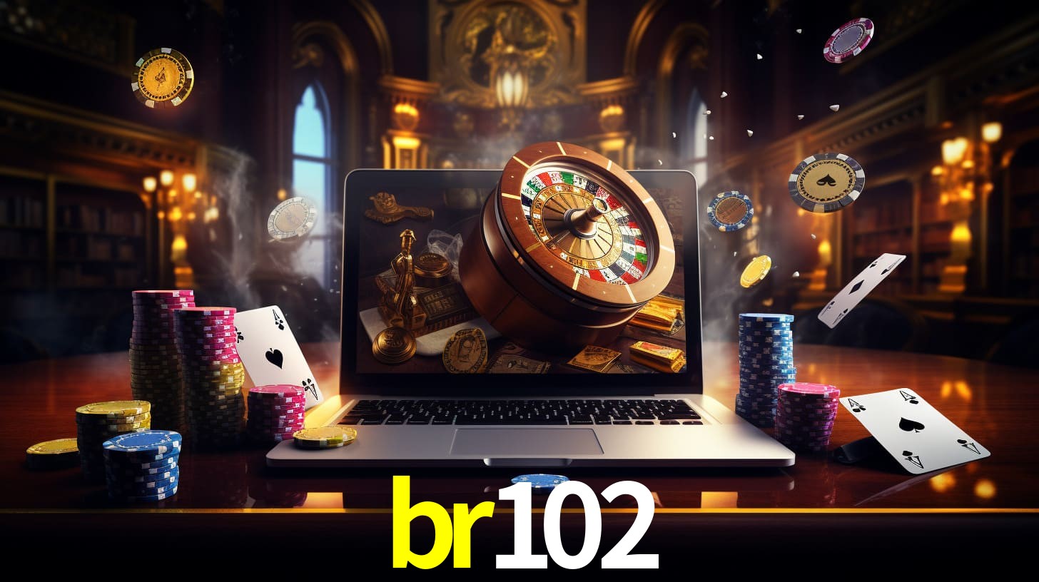 Premium Interface br102