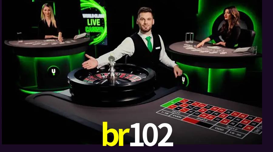 Bonus Features br102