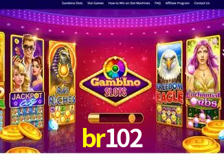 Flash Promotion br102