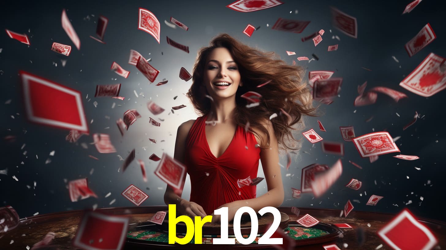 br102 App Interface